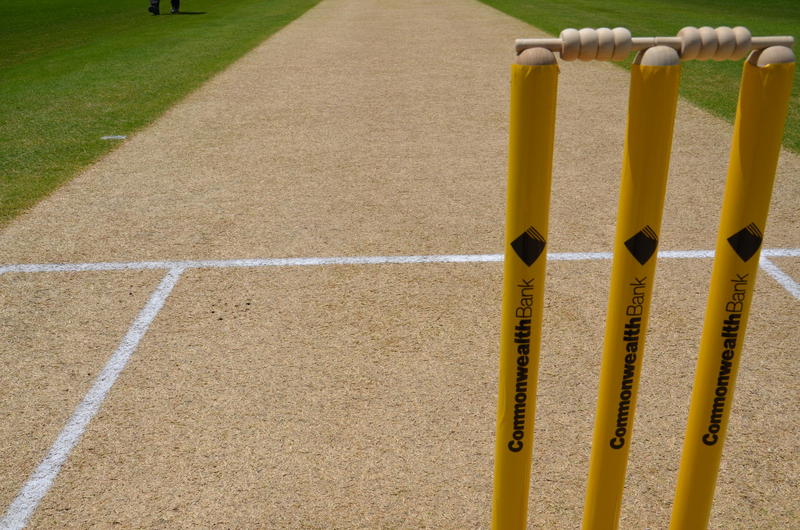 Premium Wicket Soil photo 1