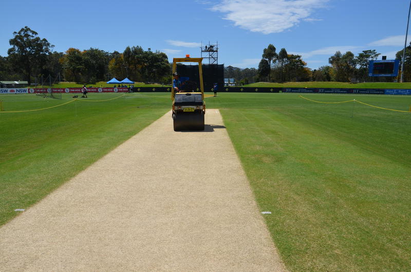Premium Wicket Soil photo 2