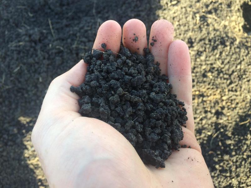 Premium Wicket Soil photo 3